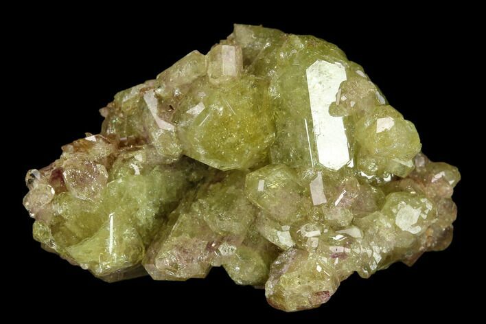 Vesuvianite Crystal Cluster - Jeffrey Mine, Canada #134421